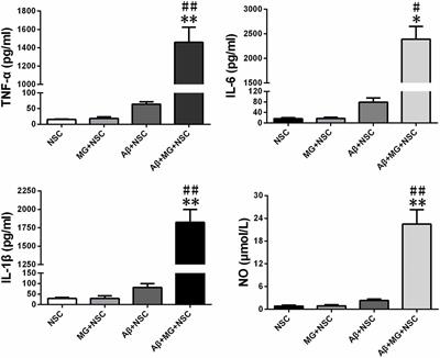 SIRT3 in Neural Stem Cells Attenuates Microglia Activation-Induced Oxidative Stress Injury Through Mitochondrial Pathway